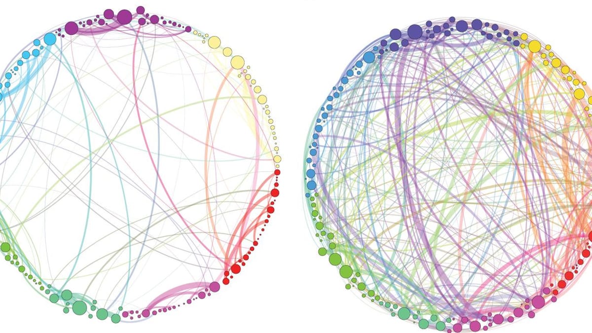 Brain network connectivity visualization under psilocybin — Petri et al. 2014, CC BY 4.0